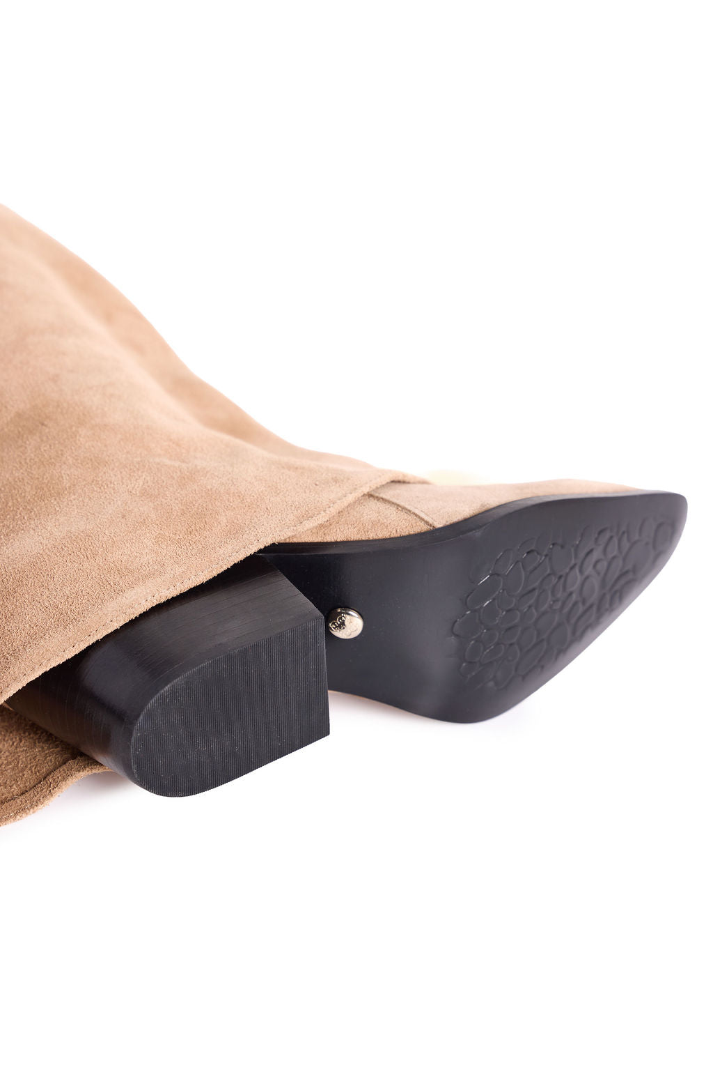 Antonella II Avellana