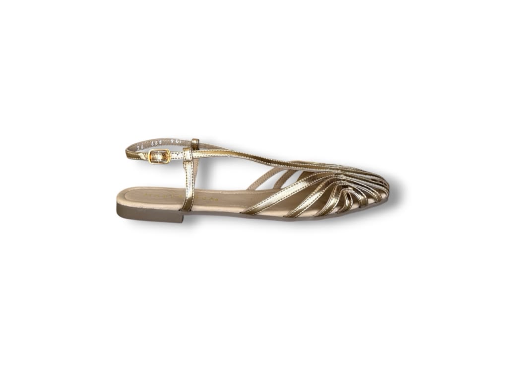 Aurora Oro
