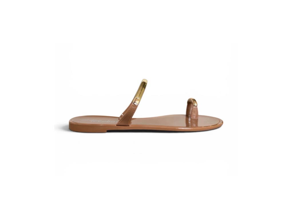 Anniella Camel