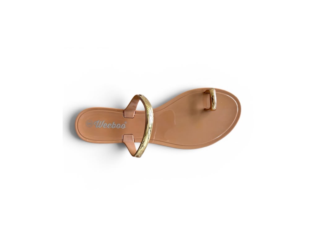 Anniella Camel